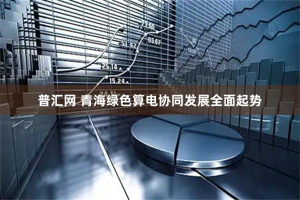 普汇网 青海绿色算电协同发展全面起势
