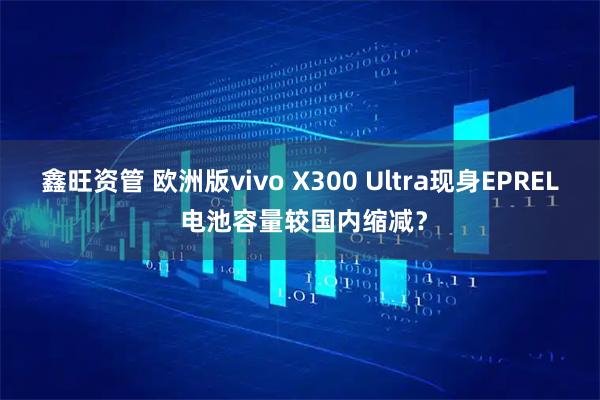 鑫旺资管 欧洲版vivo X300 Ultra现身EPREL 电池容量较国内缩减？