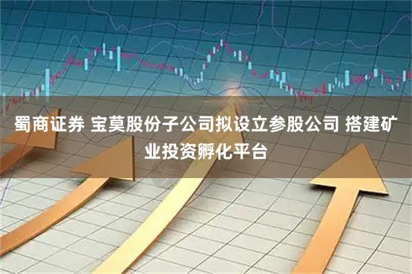 蜀商证券 宝莫股份子公司拟设立参股公司 搭建矿业投资孵化平台